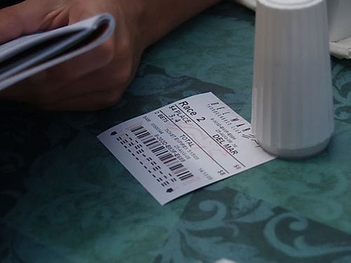 Del mar ticket