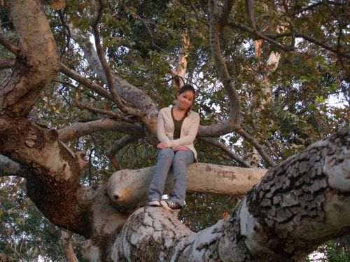 Lucy in a tree