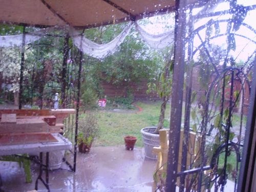 Rain 2
